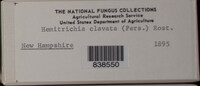 Image Associated With the Occurence